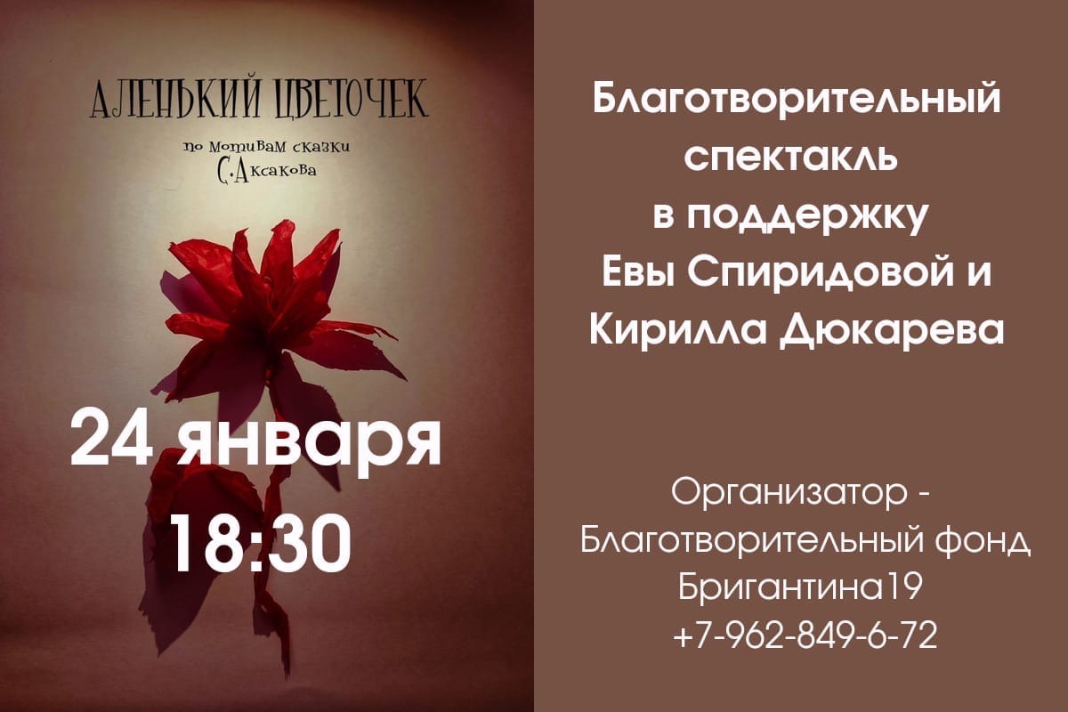 БЛАГОТВОРИТЕЛЬНЫЙ СПЕКТАКЛЬ